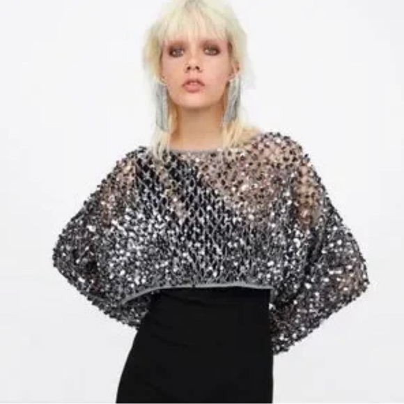 Zara limited mesh sequin sweater NWT size small - Picture 5 of 8